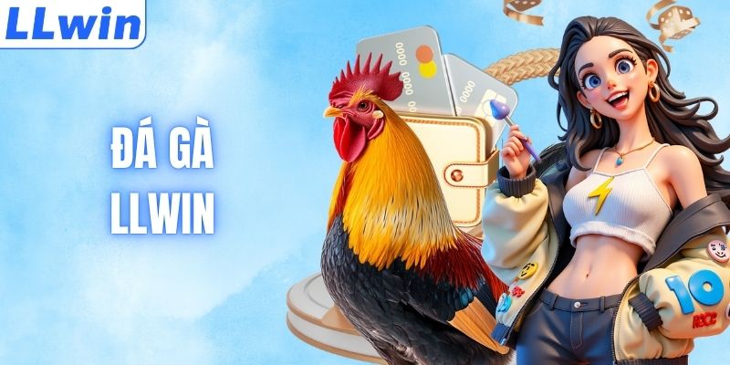 Đá Gà LLWIN - Sới Gà Rực Lửa, Trả Thưởng Cực Nhanh